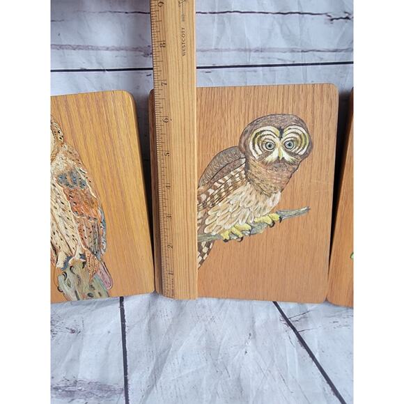 Vintage Hand painted Owl Wooden Plaques Set 3 Barn Owl Great Horned Owl Folk Art - Picture 4 of 10